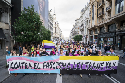Una manifestación en contra del atraso del PSOE en la tramitación de la Ley Trans.