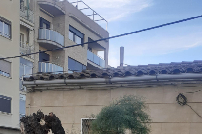 Un árbol cae sobre la acera en la calle Palauet de La Bordeta