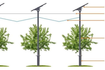 Projecte per combinar panells solars amb arbres fruiters