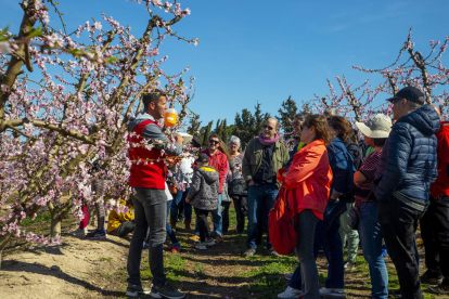 Varios turistas en una visita guiada por la floración de Aitona en una imagen de archivo.