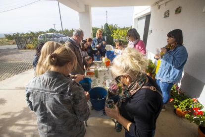 Los más pequeños participaron en la actividad y recolectaron aceitunas del árbol. 