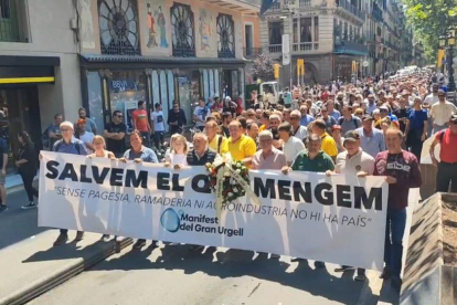 Els agricultors lleidatans, en un moment de la manifestació a Barcelona