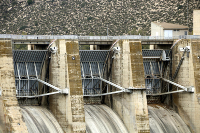 Endesa haurà d'aturar al novembre la producció de llum en algunes centrals hidroelèctriques per la sequera