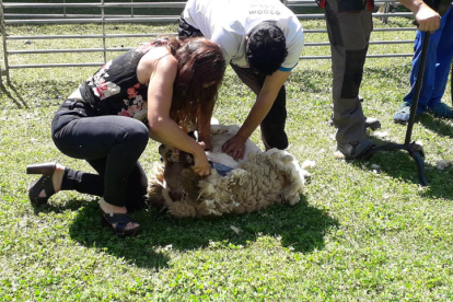Els pastors que van participar en la xollada d’ovelles al parc del Riuet de Sort.
