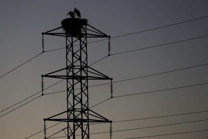 Dos cigüeñas tienen su nido en una torre de tendido eléctrico.