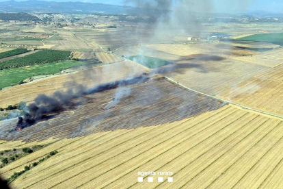 Estabilitzat l'incendi agrícola d'Algerri, que ha afectat 8,9 hectàrees