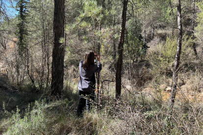 Una investigadora durante los trabajos de campo sobre gestión de bosques y aportación de agua.