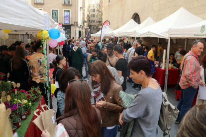 Mercat del projecte Petits Empresaris de Ponent de Lleida amb les parades instal·lades a la plaça de la Catedral