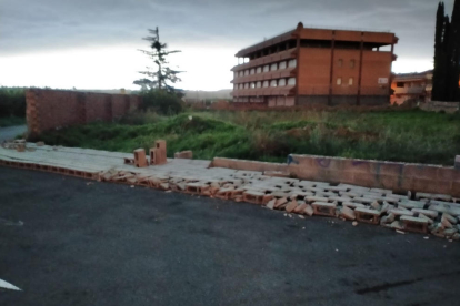 Las fuertes rachas de viento hicieron caer algunos árboles en la avenida Dra. Castells en Lleida. 