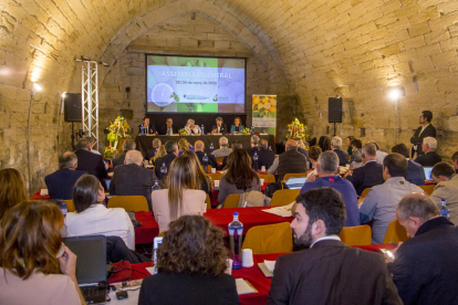 Vista general de la Asamblea de Regiones Europeas Productoras de Frutas y Hortalizas (Areflh) que se celebra en la Seu Vella de Lleida.