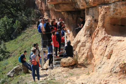 Una ruta cultural dona a conèixer un dels conjunts d'art rupestres més destacats i rars de Catalunya ubicat a Capçanes