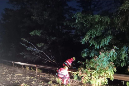 Los Bomberos tuvieron que retirar ramas de árboles caídos en la carretera de acceso a Artesa.