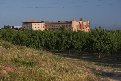 Imagen de archivo de la finca Mas Colom que el Grupo Borges tiene en Tàrrega.