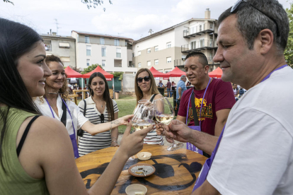 El passeig del Sió es va omplir de visitants que van acudir a la mostra.