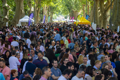 Els més petits van poder veure en primera persona diferents experiments científics.