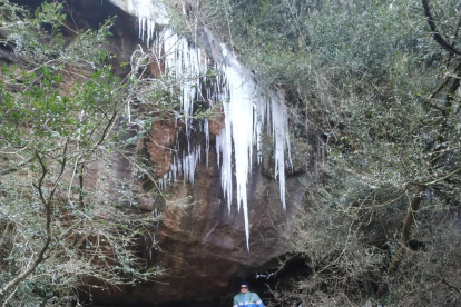 El frío ha dejado carámbanos de hielo en Llanera, en la Segarra. 
