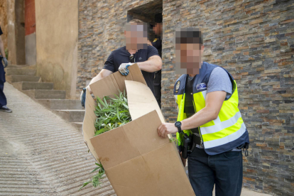 Agents de la Policia Nacional sortint ahir d'un immoble a Torrelameu amb plantes de marihuana