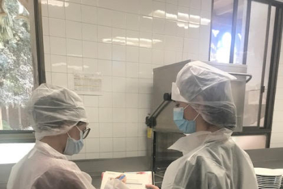 Dos estudiants de Veterinària fent pràctiques a l’escorxador d’Alfarràs.