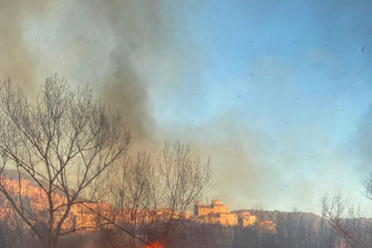 Imatge de l’incendi que es va originar ahir a la ribera del Segre al seu pas per Camarasa.