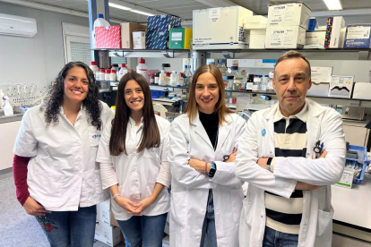 Part de l'equip d'investigadors del grup DIAMET de l'IISPV que ha participat en l'estudi. D'esquerra a dreta: Lídia Cedó Giné, Teresa Villanueva Carmona, Sonia Fernández-Veledo i Joan Vendrell.