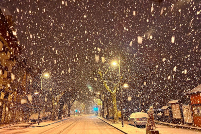 La nevada de dijous a la nit a Bossòst.