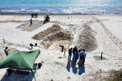 Fotografías de las excavaciones en la fosa en la playa de sa Coma, en Sant Llorenç des Cardassar. 