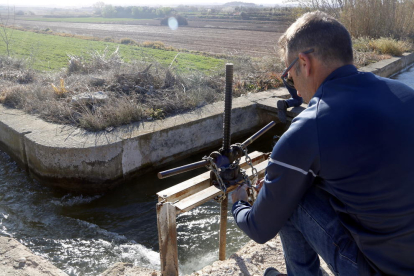 Un regador dona l'aigua del Canal d'Urgell el primer dia de la campanya de reg.