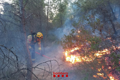 Efectivos de los Bomberos de la Generalitat durante las tareas de extinción ayer en La Granja. 