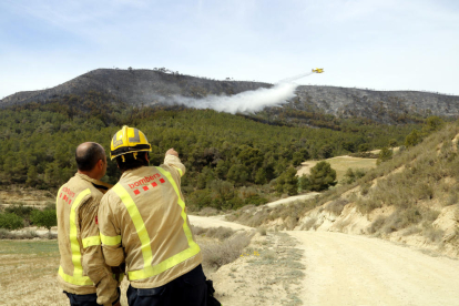 Agents Rurals xifren en 453 les hectàrees afectades per l'incendi de la Franja