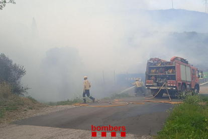 L'incendi del Rosselló ja arriba fins a Portbou i afecta més de 700 hectàrees