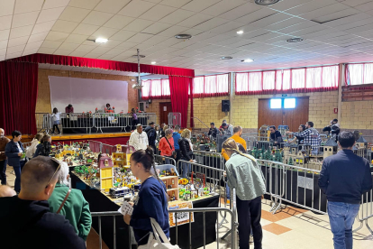 Més de 500 persones visiten la primera fira Playmobil a Torre-serona