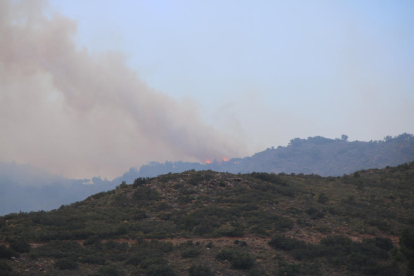 Els Bombers donen per estabilitzat l'incendi de la Catalunya del Nord