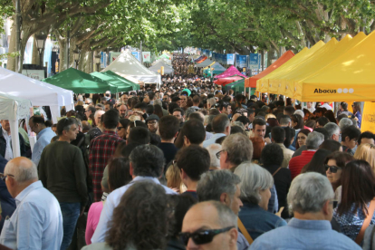 Lleida respon de manera massiva a la crida per celebrar la diada de Sant Jordi a la ciutat