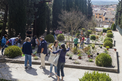 Algunas de las 120 personas que ayer plantaron rosales en el paseo de la Font del Congrés. 