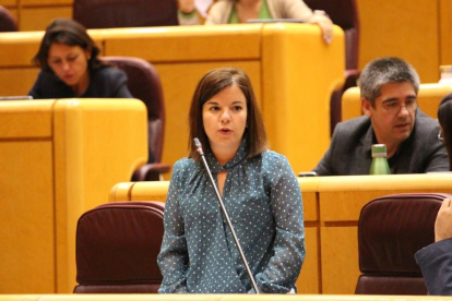 Pedro Sánchez aplaudeix durant el ple del Senat celebrat ahir.