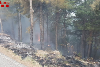 Els Bombers atenen 43 serveis per caiguda d'arbres per la tempesta als Pirineus i treballen en un foc de llamp a Navès