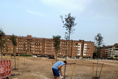Una veïna rega un dels arbres del solar d’Alcalde Pujol.