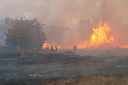 Bombers ahir al migdia durant l’extinció de l’incendi de Riner.