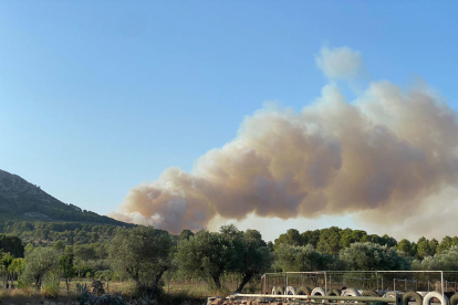 Els Bombers treballen en un incendi al massís del Montgrí sobre una superfície de 20 hectàrees