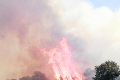 Foto del incendio de Santa Coloma de Queralt cerca de la carretera.