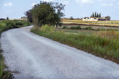 El camino que conduce al cementerio de Hostafrancs.