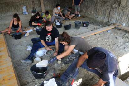 Comença una nova campanya al jaciment de la Boella per seguir estudiant les migracions d'un milió d'anys enrere