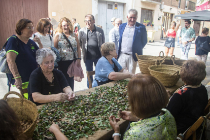 Una participant en el concurs de pujar sacs d’ametlla.