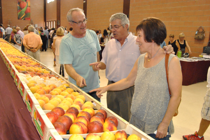 Els productors presentaran diferents varietats de préssec.