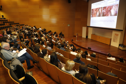 El congrés va tenir lloc a l’Auditori del Campus de Cappont.