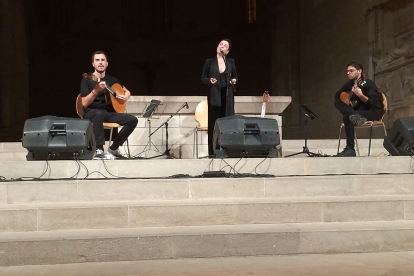 La Seu Vella va acollir ahir a la nit la segona cita de l’Interfado.