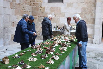 El pati de l’IEI acull la XXXIII Mostra de Bolets de Tardor de les Terres de Lleida.