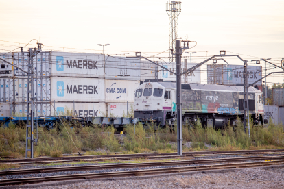 Un tren de mercaderies davant de contenidors dilluns al Pla de Vilanoveta de Lleida.