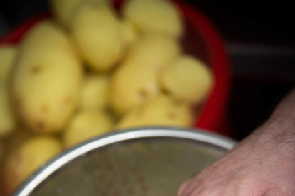 la feina que no es veu. En bars com el Roma cada dia tallen incomptables quilos de patates per servir desenes de racions. 