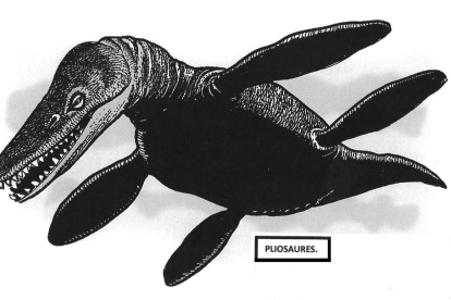 un ‘monstre’. Una de les dents del Liopleurodon. 
